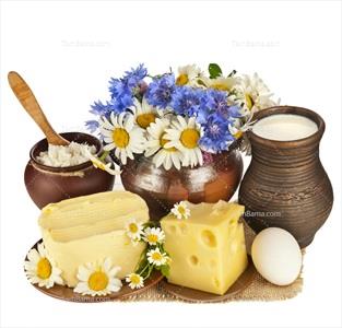 تصویر با کیفیت شیر کره  پنیر تخم مرغ و گل بابونه